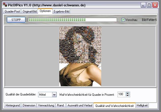 Delphi-Tutorials - Pic-of-Pictures (Mosaik-Collage) - Optionen: Vorschau-Bild