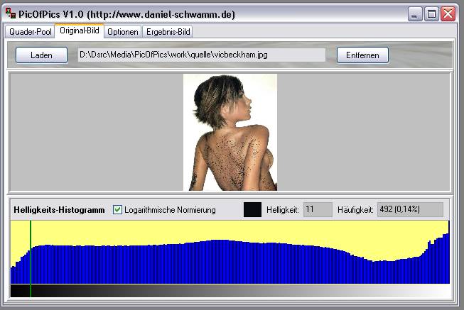 Delphi-Tutorials - Pic-of-Pictures (Mosaik-Collage) - Original: Histogramm-Cursor