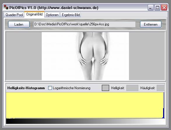 Delphi-Tutorials - Pic-of-Pictures (Mosaik-Collage) - Original: Histogramm unnormiert