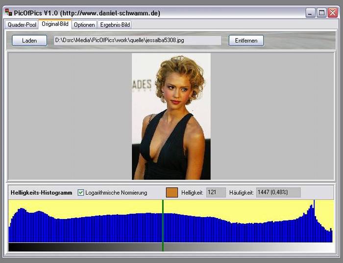 Delphi-Tutorials - Pic-of-Pictures (Mosaik-Collage) - Original: Register-Page
