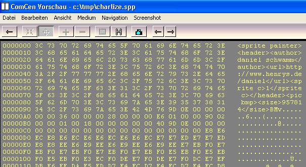 Sprite-Painter - SPP-Format im Hex-Viewer: Kopf