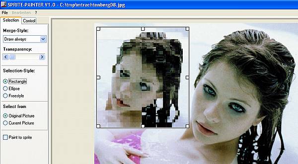 Sprite-Painter - Resize mit nur einer Bitmap