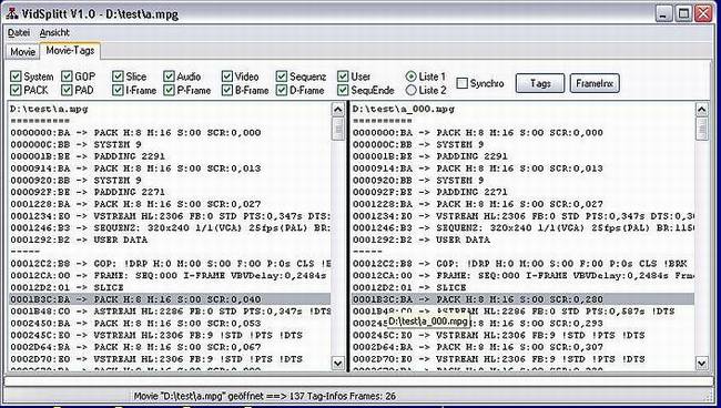 Delphi-Tutorials - Video-Splitter - Der integrierte MPG-Tag-Scanner in VidSplitt