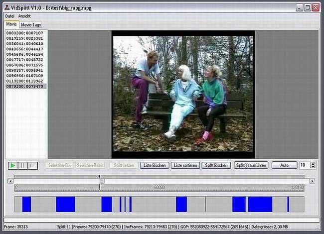 Delphi-Tutorials - Video-Splitter - Ein cooler, kleines GOP-genauer MPEG-1-Video-Cutter