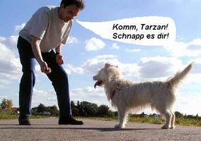 It's a dogs life - Tarzan - Draussen 04