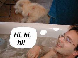 It's a dogs life - Tarzan - Wannenwonnen 5