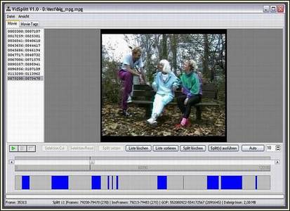 News - VidSplitt, der GOP-genauen MPEG1-Movie-Splitter